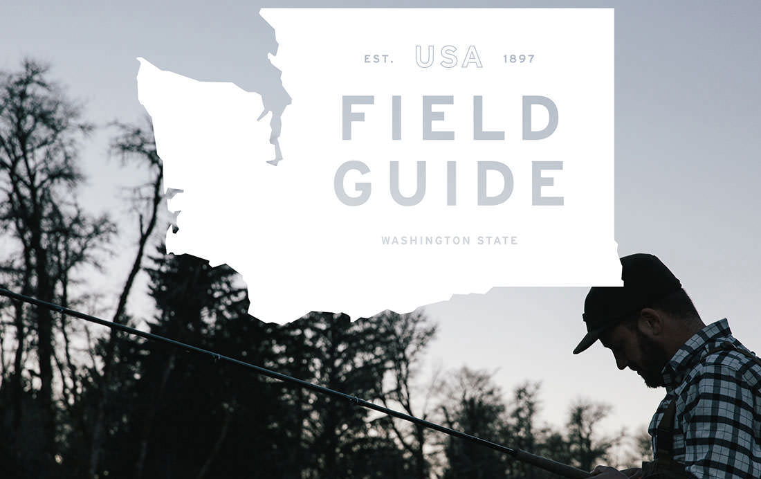 sts-filson-fieldguide